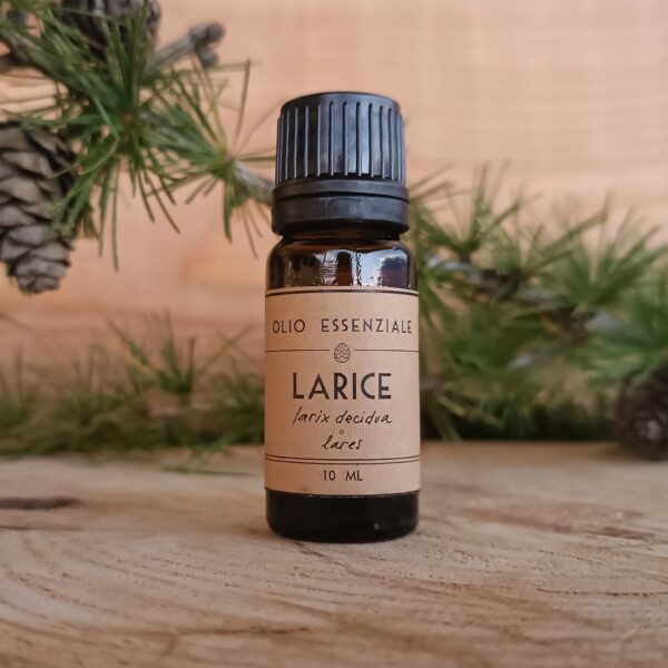 Olio Essenziale di Larice - Larix decidua