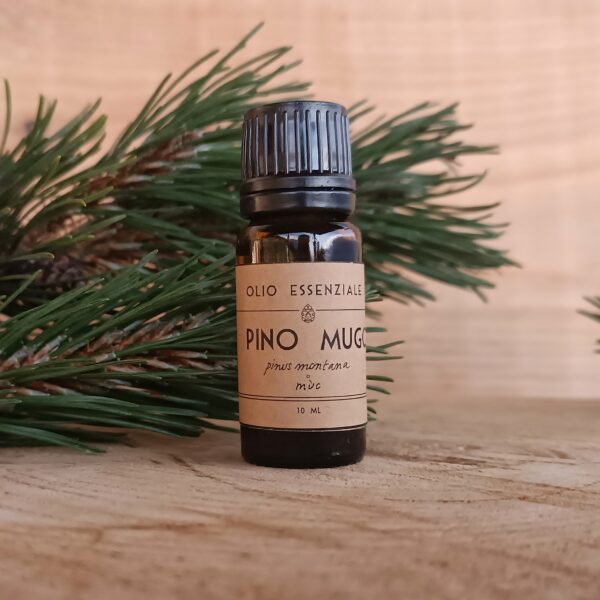 Olio Essenziale di Pino Mugo – Pinus montana